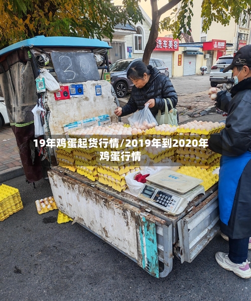 19年鸡蛋起货行情/2019年到2020年鸡蛋行情-第1张图片