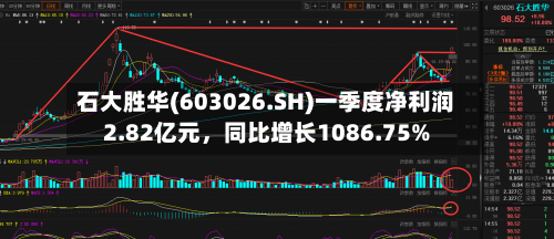 石大胜华(603026.SH)一季度净利润2.82亿元	，同比增长1086.75%-第1张图片