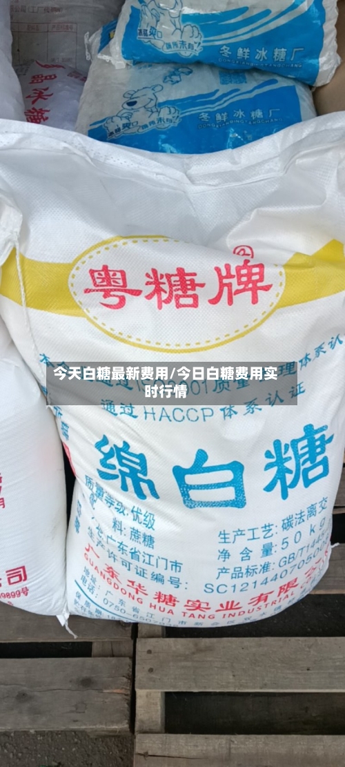 今天白糖最新费用/今日白糖费用实时行情-第1张图片