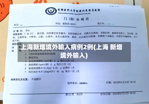 上海新增境外输入病例2例(上海 新增 境外输入)-第3张图片