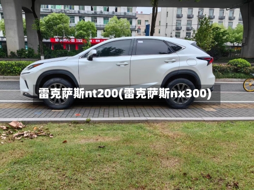 雷克萨斯nt200(雷克萨斯nx300)-第1张图片