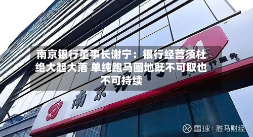 南京银行董事长谢宁：银行经营须杜绝大起大落 单纯跑马圈地既不可取也不可持续-第2张图片