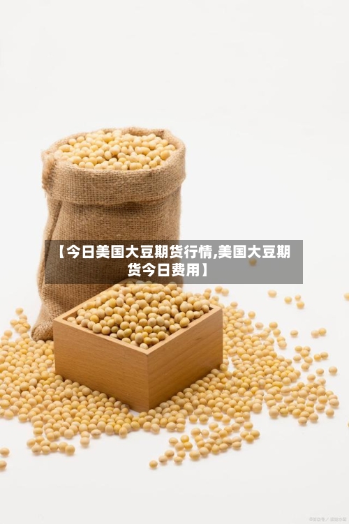 【今日美国大豆期货行情,美国大豆期货今日费用】-第3张图片