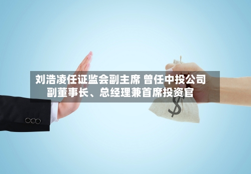 刘浩凌任证监会副主席 曾任中投公司副董事长、总经理兼首席投资官-第3张图片
