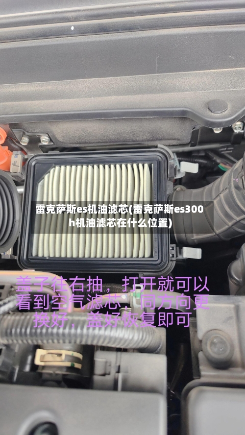 雷克萨斯es机油滤芯(雷克萨斯es300h机油滤芯在什么位置)-第1张图片