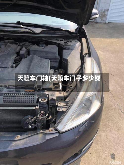 天籁车门轴(天籁车门子多少钱)-第1张图片