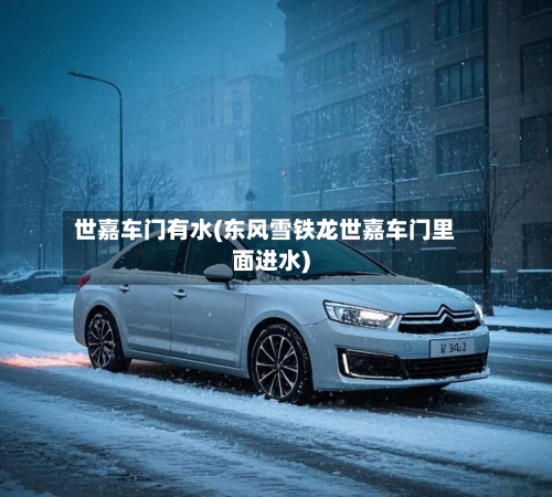 世嘉车门有水(东风雪铁龙世嘉车门里面进水)-第1张图片