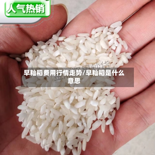 早籼稻费用行情走势/早籼稻是什么意思-第1张图片