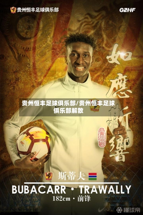 贵州恒丰足球俱乐部/贵州恒丰足球俱乐部解散-第2张图片