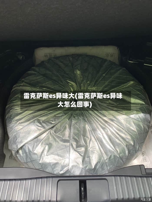 雷克萨斯es异味大(雷克萨斯es异味大怎么回事)-第1张图片