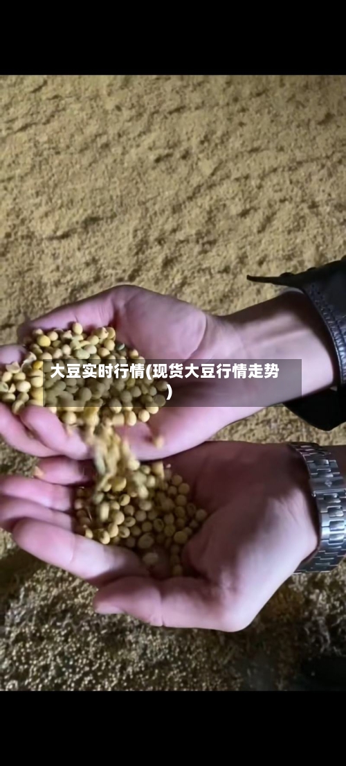 大豆实时行情(现货大豆行情走势)-第1张图片