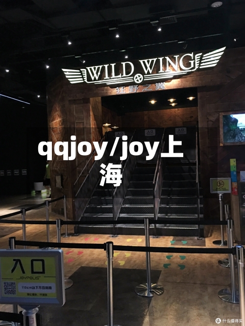 qqjoy/joy上海-第1张图片