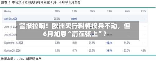 警报拉响！欧洲央行料将按兵不动，但6月加息“箭在弦上”？-第2张图片