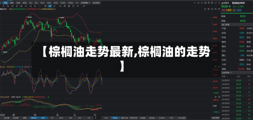 【棕榈油走势最新,棕榈油的走势】-第1张图片