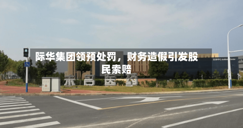 际华集团领预处罚，财务造假引发股民索赔-第3张图片