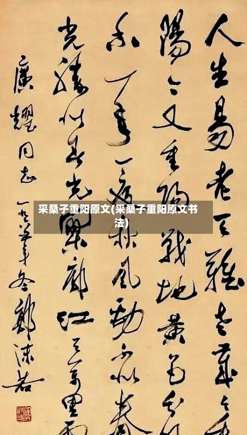 采桑子重阳原文(采桑子重阳原文书法)-第1张图片