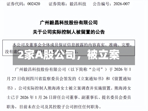 2家A股公司	，被立案-第3张图片