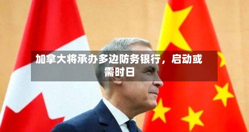 加拿大将承办多边防务银行，启动或需时日-第1张图片