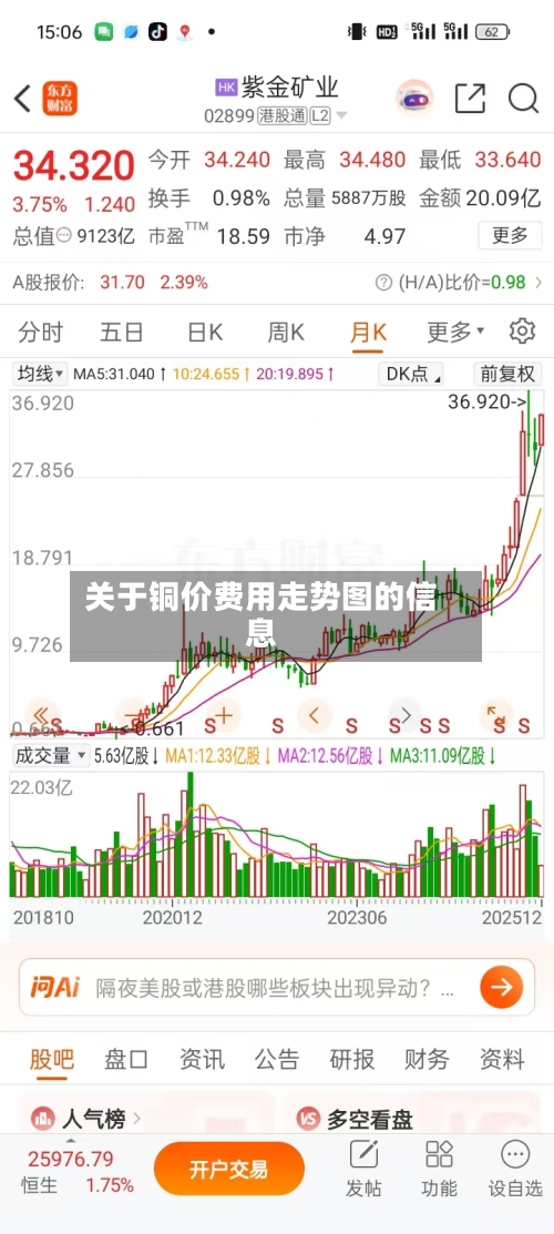 关于铜价费用走势图的信息-第1张图片