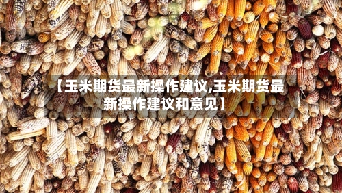 【玉米期货最新操作建议,玉米期货最新操作建议和意见】-第3张图片