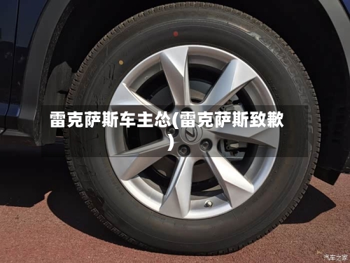 雷克萨斯车主怂(雷克萨斯致歉)-第1张图片