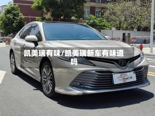 凯美瑞有味/凯美瑞新车有味道吗-第1张图片