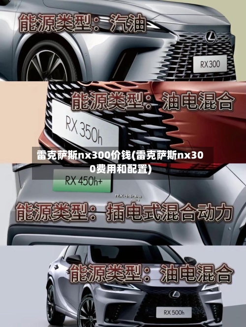 雷克萨斯nx300价钱(雷克萨斯nx300费用和配置)-第1张图片