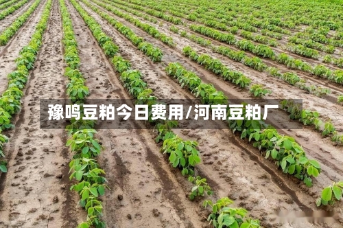豫鸣豆粕今日费用/河南豆粕厂-第3张图片