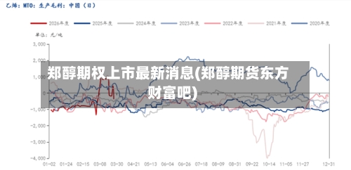 郑醇期权上市最新消息(郑醇期货东方财富吧)-第3张图片