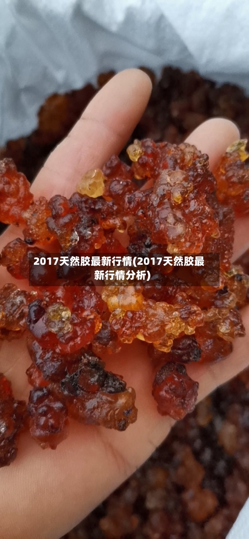 2017天然胶最新行情(2017天然胶最新行情分析)-第2张图片