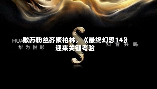数万粉丝齐聚柏林	，《最终幻想14》迎来关键考验-第1张图片