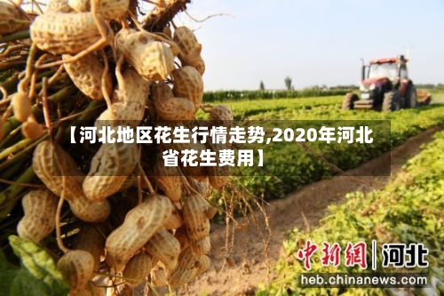 【河北地区花生行情走势,2020年河北省花生费用】-第1张图片