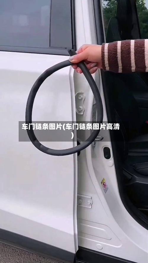 车门链条图片(车门链条图片高清)-第1张图片