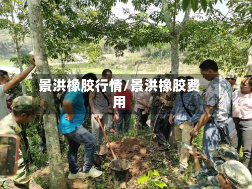 景洪橡胶行情/景洪橡胶费用-第1张图片