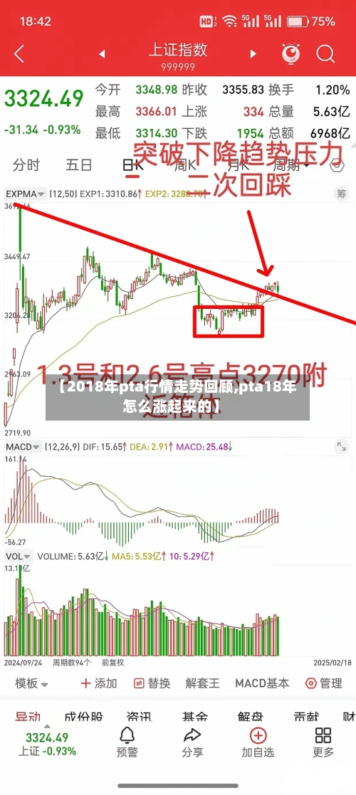 【2018年pta行情走势回顾,pta18年怎么涨起来的】-第1张图片
