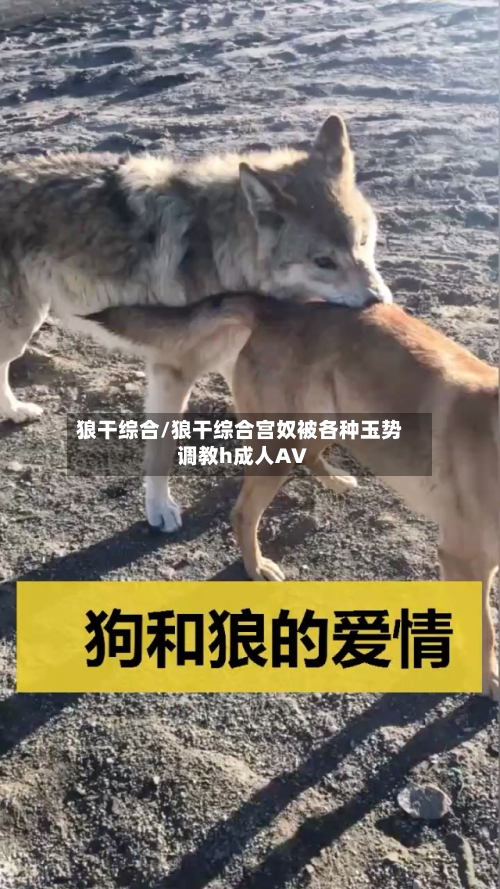 狼干综合/狼干综合宫奴被各种玉势调教h成人AV-第1张图片