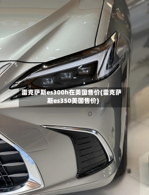 雷克萨斯es300h在美国售价(雷克萨斯es350美国售价)-第1张图片