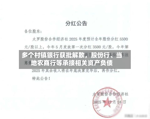 多个村镇银行获批解散	，股份行、当地农商行等承接相关资产负债-第2张图片