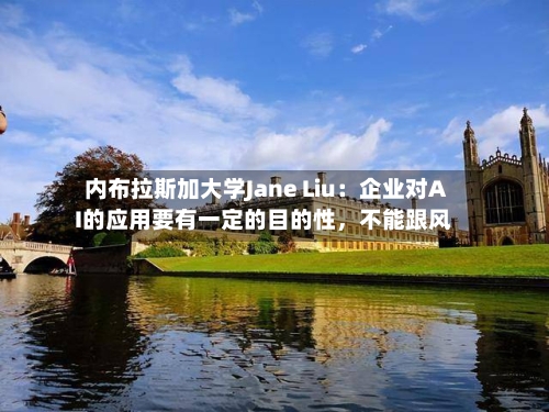 内布拉斯加大学Jane Liu：企业对AI的应用要有一定的目的性	，不能跟风-第2张图片