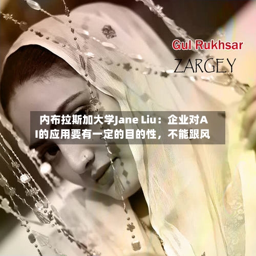 内布拉斯加大学Jane Liu：企业对AI的应用要有一定的目的性，不能跟风-第1张图片