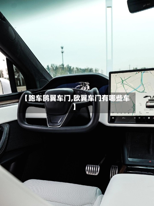 【跑车鸥翼车门,欧翼车门有哪些车】-第2张图片