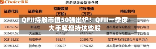 QFII持股市值50强出炉！QFII一季度大手笔增持这些股-第2张图片