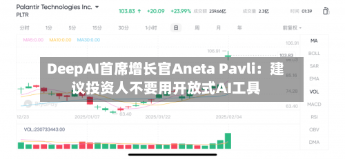 DeepAI首席增长官Aneta Pavli：建议投资人不要用开放式AI工具-第3张图片