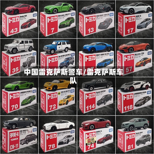中国雷克萨斯警车/雷克萨斯车队-第2张图片