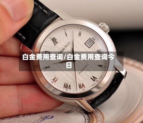 白金费用查询/白金费用查询今日-第3张图片