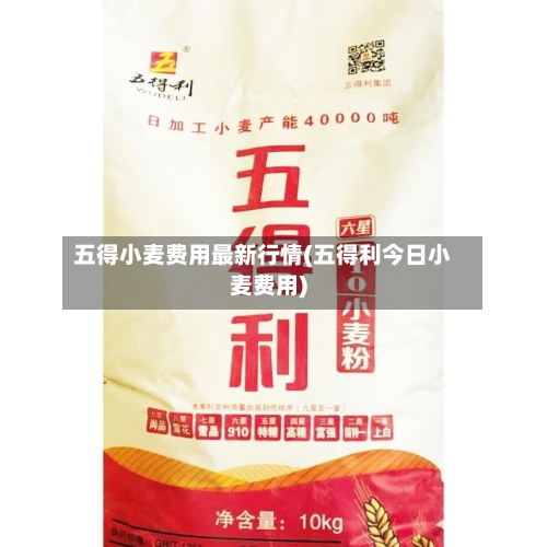 五得小麦费用最新行情(五得利今日小麦费用)-第1张图片