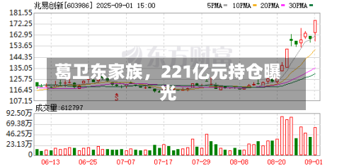 葛卫东家族，221亿元持仓曝光-第2张图片