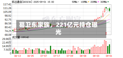 葛卫东家族，221亿元持仓曝光-第1张图片
