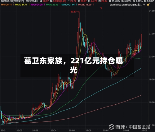 葛卫东家族，221亿元持仓曝光-第3张图片