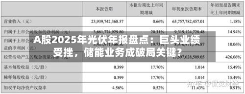 A股2025年光伏年报盘点：巨头业绩受挫，储能业务成破局关键？-第3张图片